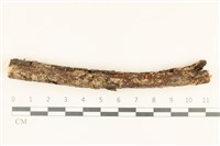 登錄號:F0037063藏品圖，第1張