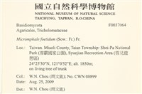 登錄號:F0037064藏品圖，第2張