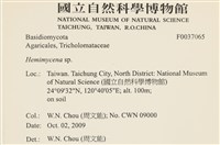登錄號:F0037065藏品圖，第2張