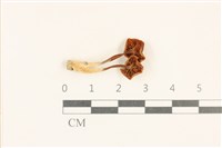 登錄號:F0037065藏品圖，第3張