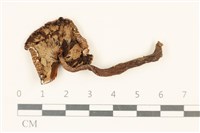 登錄號:F0037066藏品圖，第3張