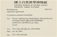 登錄號:F0037067藏品圖，第2張