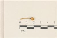 登錄號:F0037067藏品圖，第1張