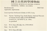 登錄號:F0037068藏品圖，第2張
