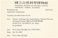 登錄號:F0037069藏品圖，第2張