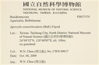 登錄號:F0037070藏品圖，第2張
