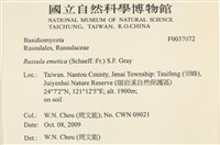 登錄號:F0037072藏品圖，第2張