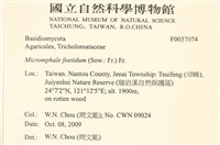 登錄號:F0037074藏品圖，第2張