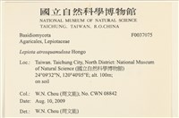 登錄號:F0037075藏品圖，第2張