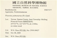 登錄號:F0037077藏品圖，第2張