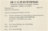 登錄號:F0037078藏品圖，第2張