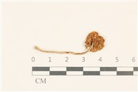 登錄號:F0037080藏品圖，第3張