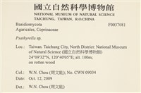 登錄號:F0037081藏品圖，第2張