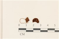 登錄號:F0037081藏品圖，第1張