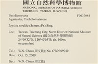 登錄號:F0037084藏品圖，第2張