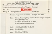 登錄號:F0037086藏品圖，第2張