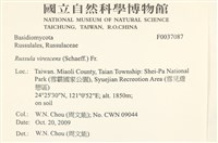 登錄號:F0037087藏品圖，第2張