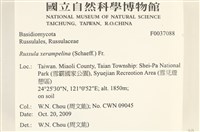 登錄號:F0037088藏品圖，第2張