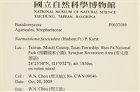 登錄號:F0037089藏品圖，第2張