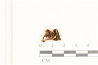 登錄號:F0037089藏品圖，第3張
