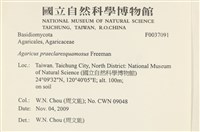 登錄號:F0037091藏品圖，第2張