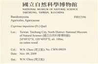 登錄號:F0037096藏品圖，第2張