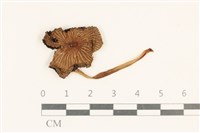 登錄號:F0037096藏品圖，第1張