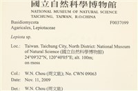登錄號:F0037099藏品圖，第2張