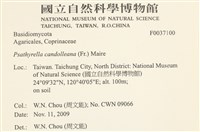 登錄號:F0037100藏品圖，第2張