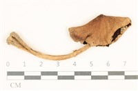 登錄號:F0037100藏品圖，第1張