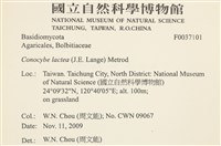 登錄號:F0037101藏品圖，第2張