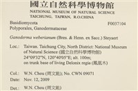 登錄號:F0037104藏品圖，第2張