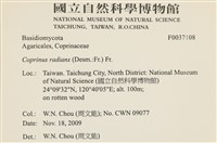 登錄號:F0037108藏品圖，第2張