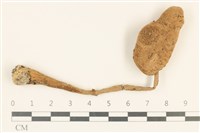 登錄號:F0037109藏品圖，第1張