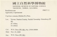 登錄號:F0037111藏品圖，第2張