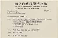 登錄號:F0037113藏品圖，第2張