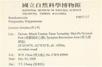 登錄號:F0037117藏品圖，第2張