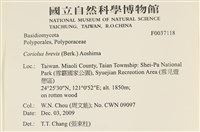 登錄號:F0037118藏品圖，第2張
