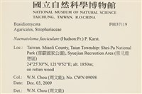 登錄號:F0037119藏品圖，第2張
