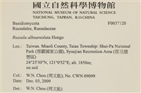 登錄號:F0037120藏品圖，第2張