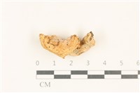 登錄號:F0037120藏品圖，第1張