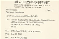 登錄號:F0037121藏品圖，第2張