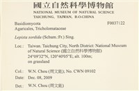 登錄號:F0037122藏品圖，第2張