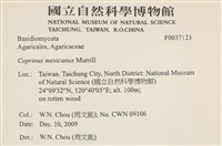登錄號:F0037123藏品圖，第2張