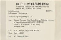 登錄號:F0037124藏品圖，第2張