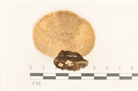 登錄號:F0037124藏品圖，第3張