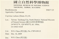 登錄號:F0037125藏品圖，第2張