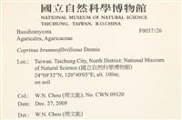 登錄號:F0037126藏品圖，第2張