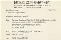 登錄號:F0037128藏品圖，第2張