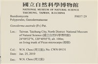 登錄號:F0037129藏品圖，第2張